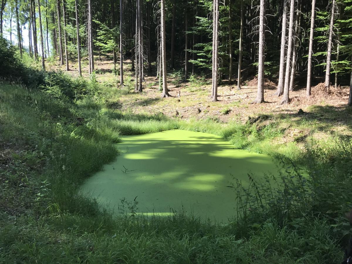 Brezina  Farma Noe旅馆 外观 照片