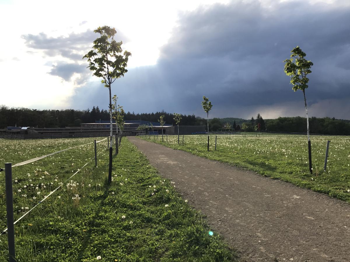 Brezina  Farma Noe旅馆 外观 照片