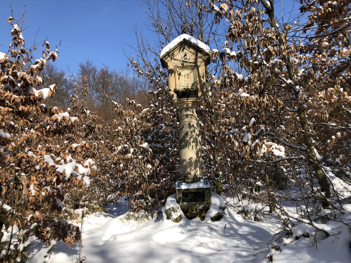 Brezina  Farma Noe旅馆 外观 照片